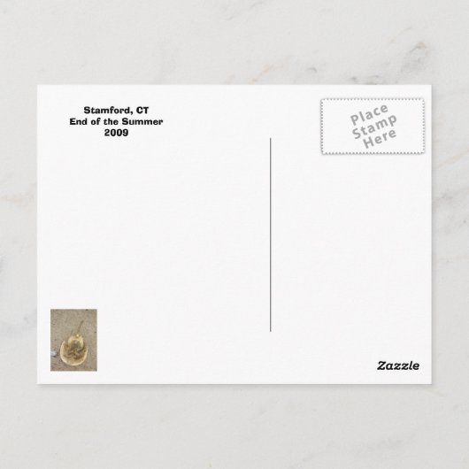 ZEE GULL IN STAMFORD, CT, $B.A.K.$ ... BRIEFKAART (Achterkant)