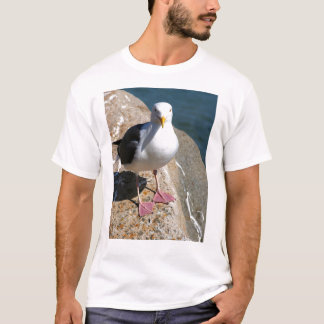 Zee Gull, Morro Bay, Californië T-shirt