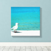 Zee Gull | Nutgrove Beach, Sandy Bay Tasmania Canvas Afdruk (Insitu (Houten vloer))