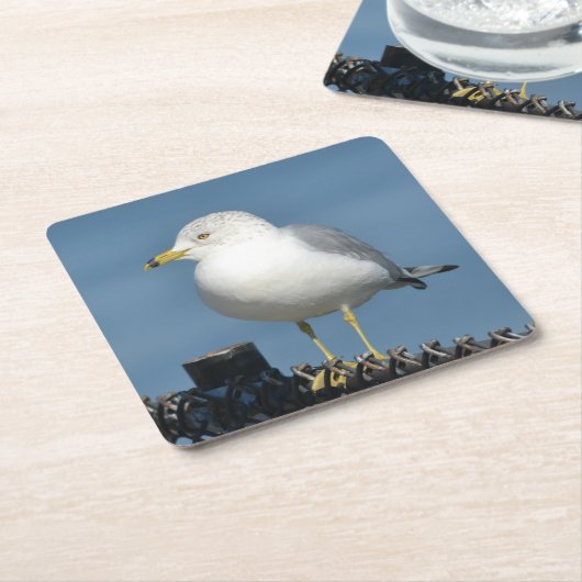 Zee Gull Party Onderzetter (Schuin)