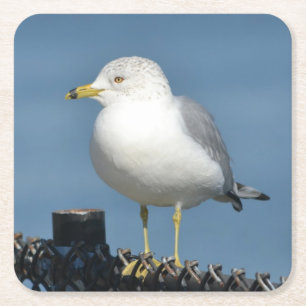 Zee Gull Party Onderzetter