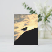 Zee Gull Sunset Briefkaart (Staand voorkant)