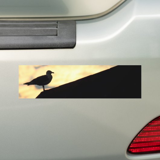 Zee Gull Sunset Bumpersticker (Op auto)