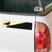 Zee Gull Sunset Bumpersticker (Op Truck)