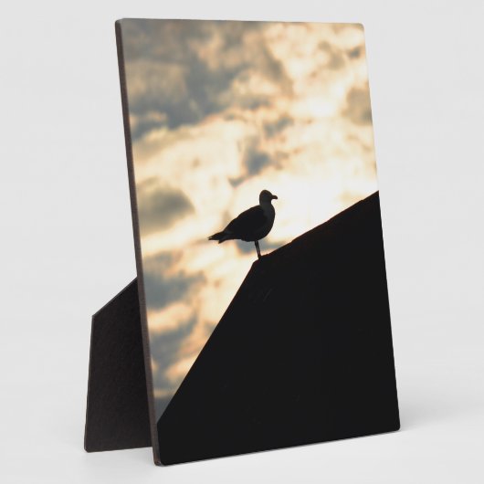 Zee Gull Sunset Fotoplaat (Zijkant)