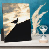 Zee Gull Sunset Fotoplaat (Zijkant)