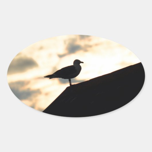 Zee Gull Sunset Ovale Sticker (Voorkant)