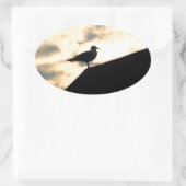 Zee Gull Sunset Ovale Sticker (Tas)