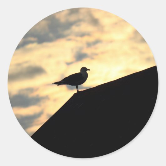 Zee Gull Sunset Ronde Sticker (Voorkant)