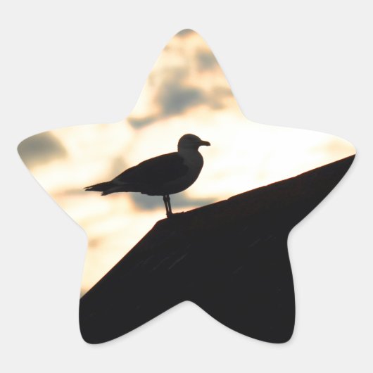 Zee Gull Sunset Ster Sticker (Voorkant)