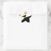 Zee Gull Sunset Ster Sticker (Tas)