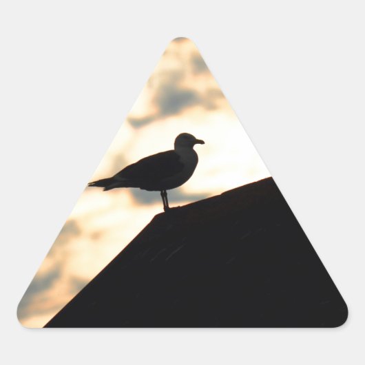 Zee Gull Sunset Sticker (Voorkant)