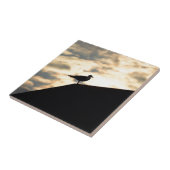 Zee Gull Sunset Tegeltje (Zijkant)