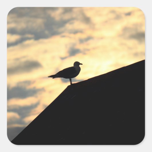 Zee Gull Sunset Vierkante Sticker (Voorkant)