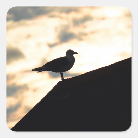 Zee Gull Sunset Vierkante Sticker (Voorkant)
