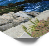 Zee Gull voor de kust van de Stille Oceaan, foto Poster (Hoek)