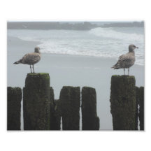 Zee Gulls in horloge