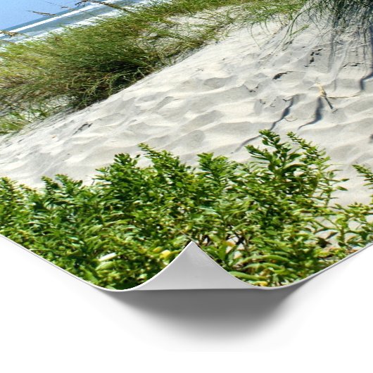 Zee haver bij Ocracoke Poster (Hoek)