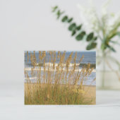 Zee Haver Briefkaart (Staand voorkant)