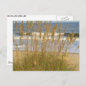 Zee Haver Briefkaart (Voorkant / Achterkant)