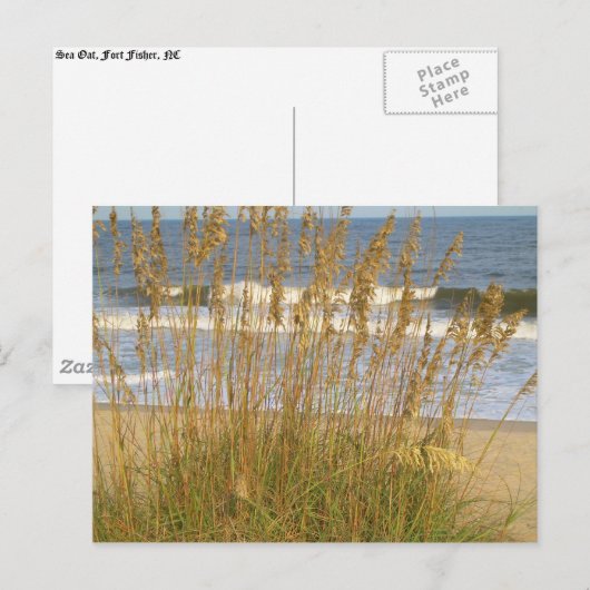 Zee Haver Briefkaart (Voorkant / Achterkant)