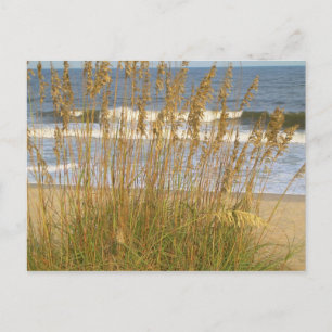 Zee Haver Briefkaart