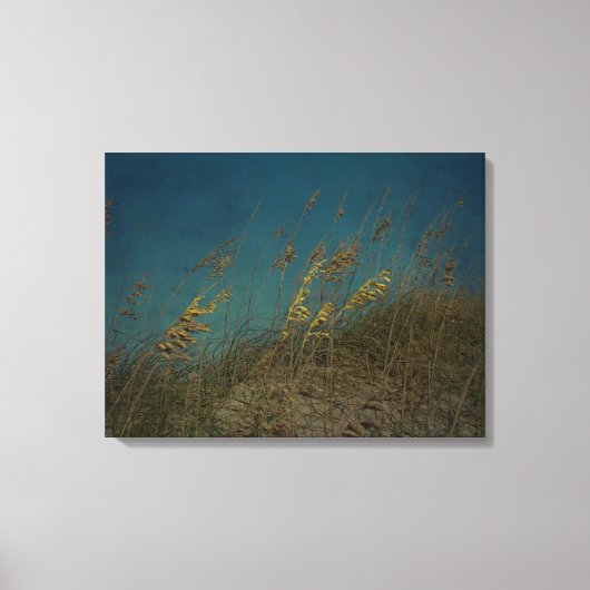 Zee Haver Canvas Afdruk (Voorkant)