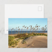 Zee haver en duinen briefkaart (Voorkant / Achterkant)