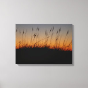 Zee haver en duinen op Sunset Canvas Afdruk