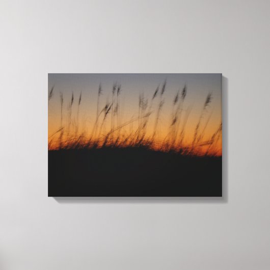 Zee haver en duinen op Sunset Canvas Afdruk (Voorkant)
