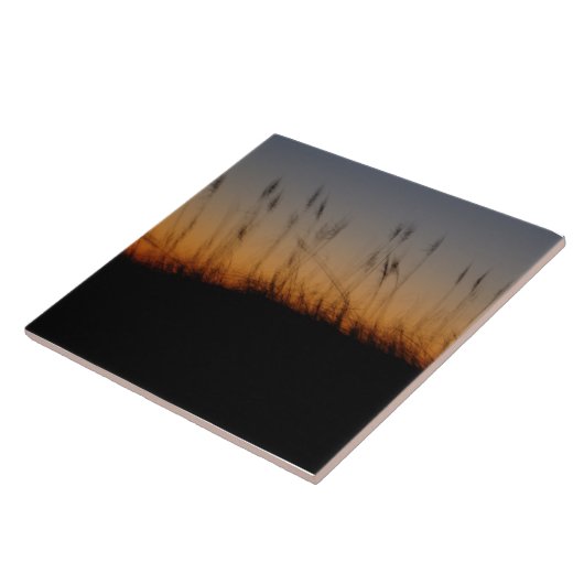 Zee haver en duinen op Sunset Tegeltje (Zijkant)