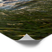 Zee haver en sint-jansjovis poster (Hoek)