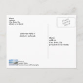 Zee Haver en White Sand Beach Morning Briefkaart (Achterkant)