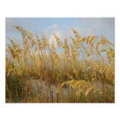 zee haver foto afdruk (Voorkant)