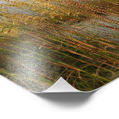 zee haver foto afdruk (Hoek)