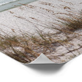 Zee haver langs de strand poster (Hoek)