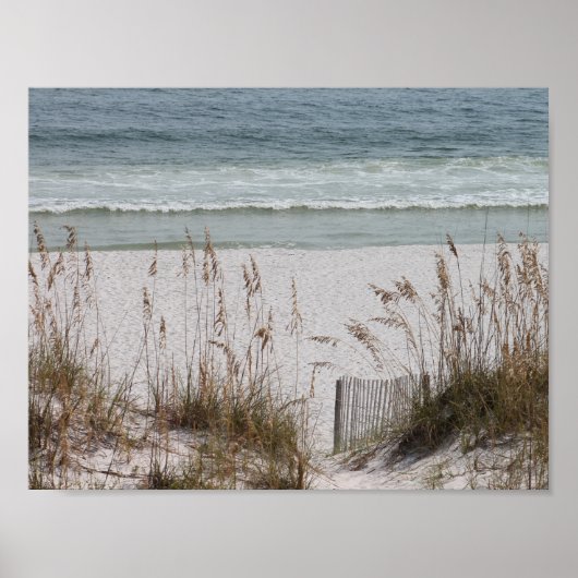Zee haver langs de strand poster (Voorkant)