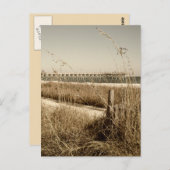 Zee haver op de Dunes bij Myrtle Beach Briefkaart (Voorkant / Achterkant)