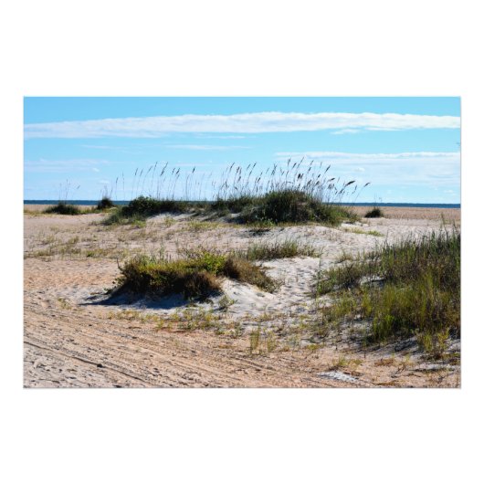 Zee Haver op het strand van de oceaan Foto Afdruk (Voorkant)