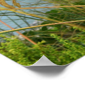 Zee Haver Poster (Hoek)