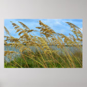 Zee Haver Poster (Voorkant)