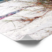 Zee haver, strand, poster (Hoek)