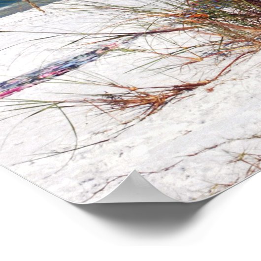 Zee haver, strand, poster (Hoek)