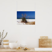 Zee haver, strand, poster (Keuken)