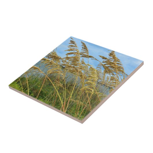 Zee Haver Tegeltje (Zijkant)