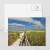 Zee haver (Uniola paniculata) die op het strand wo Briefkaart (Voorkant / Achterkant)