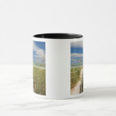 Zee haver (Uniola paniculata) die op het strand wo Mok (Midden)