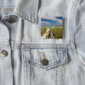 Zee haver (Uniola paniculata) die op het strand wo Vierkante Button 5,1 Cm (In situ)