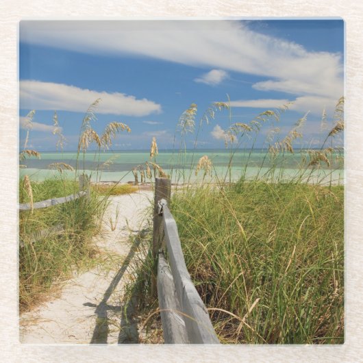 Zee haver (Uniola paniculata), met een strand Glazen Onderzetter (Voorkant)