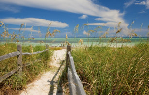Wallpaper Strand Omheining Kunst Posters En Afdrukken Zazzle Nl For Android